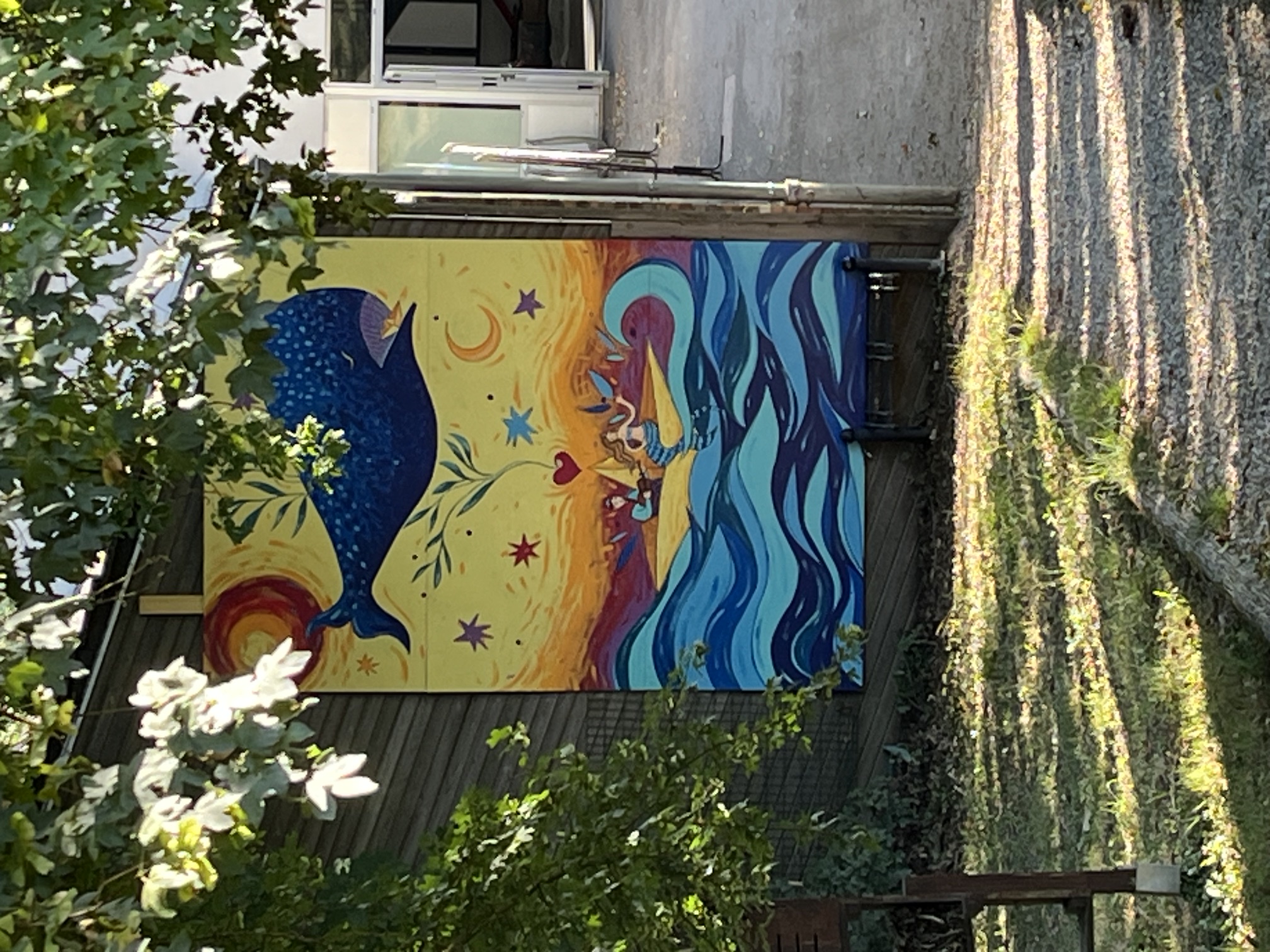 IMG_1298.jpeg