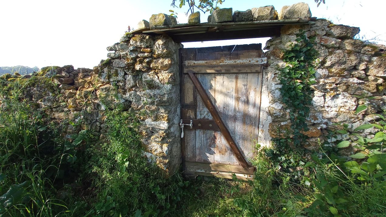 20240603_porte_fond_potager_small.jpg