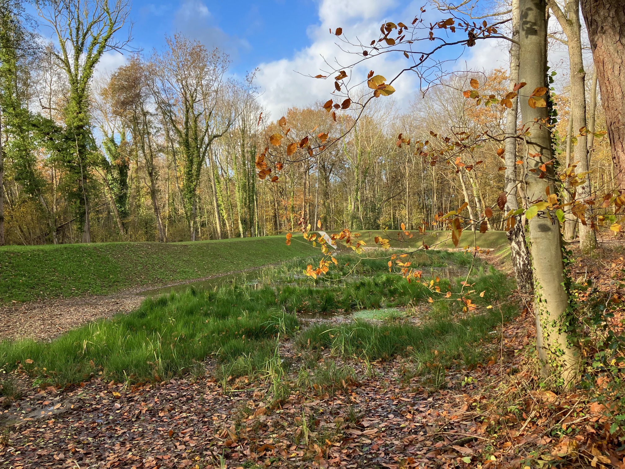 Baratage nov 2023 1.jpg