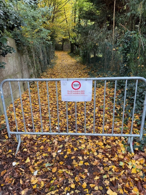 fermeture sente Saint Clair 2.jpg