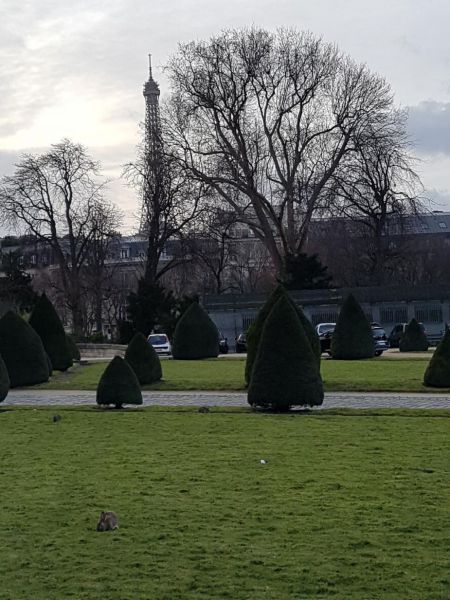 Sortie 2018 - 2019 22.jpg