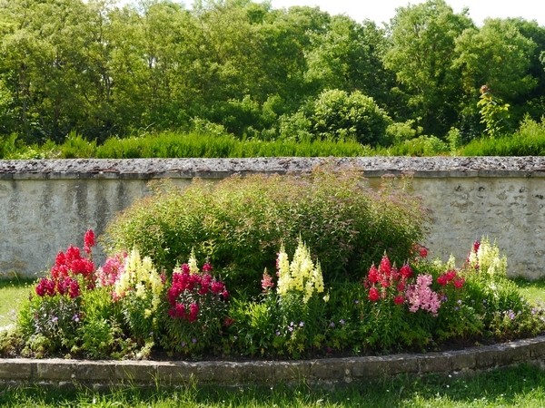 Terre plain fleuri.jpg