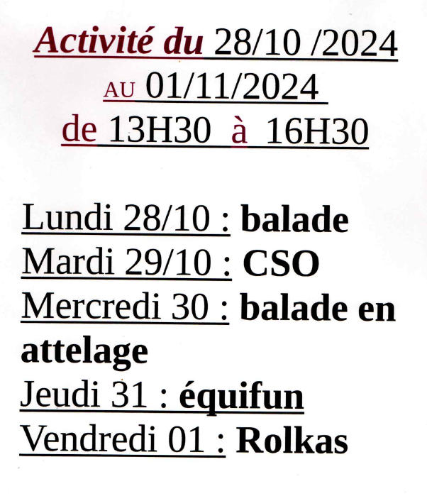 Activité du 2810 au 011124.png