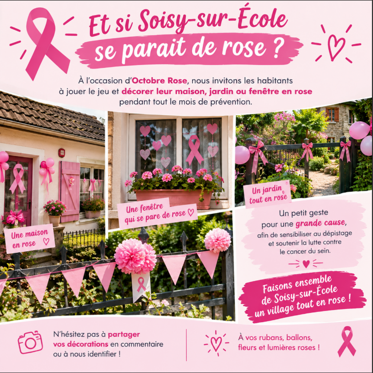 deco maison octobre rose.PNG