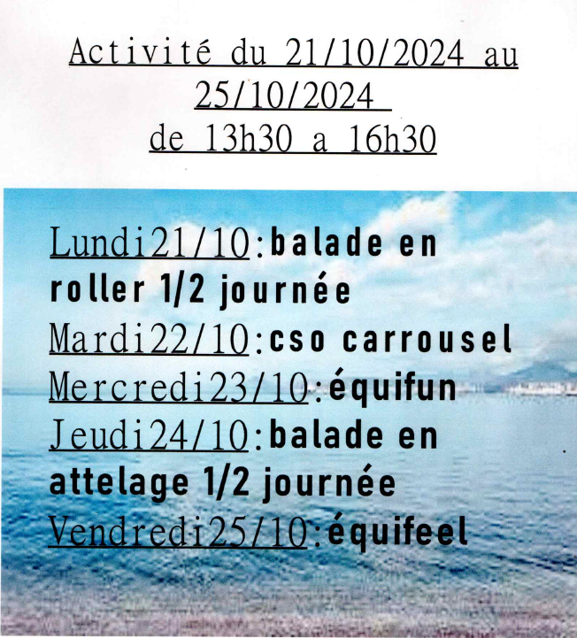 Activité du 21 au 251024.png