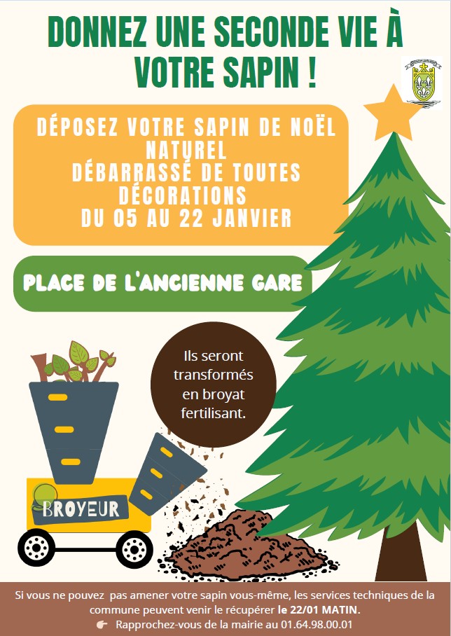 collecte des sapins.jpg