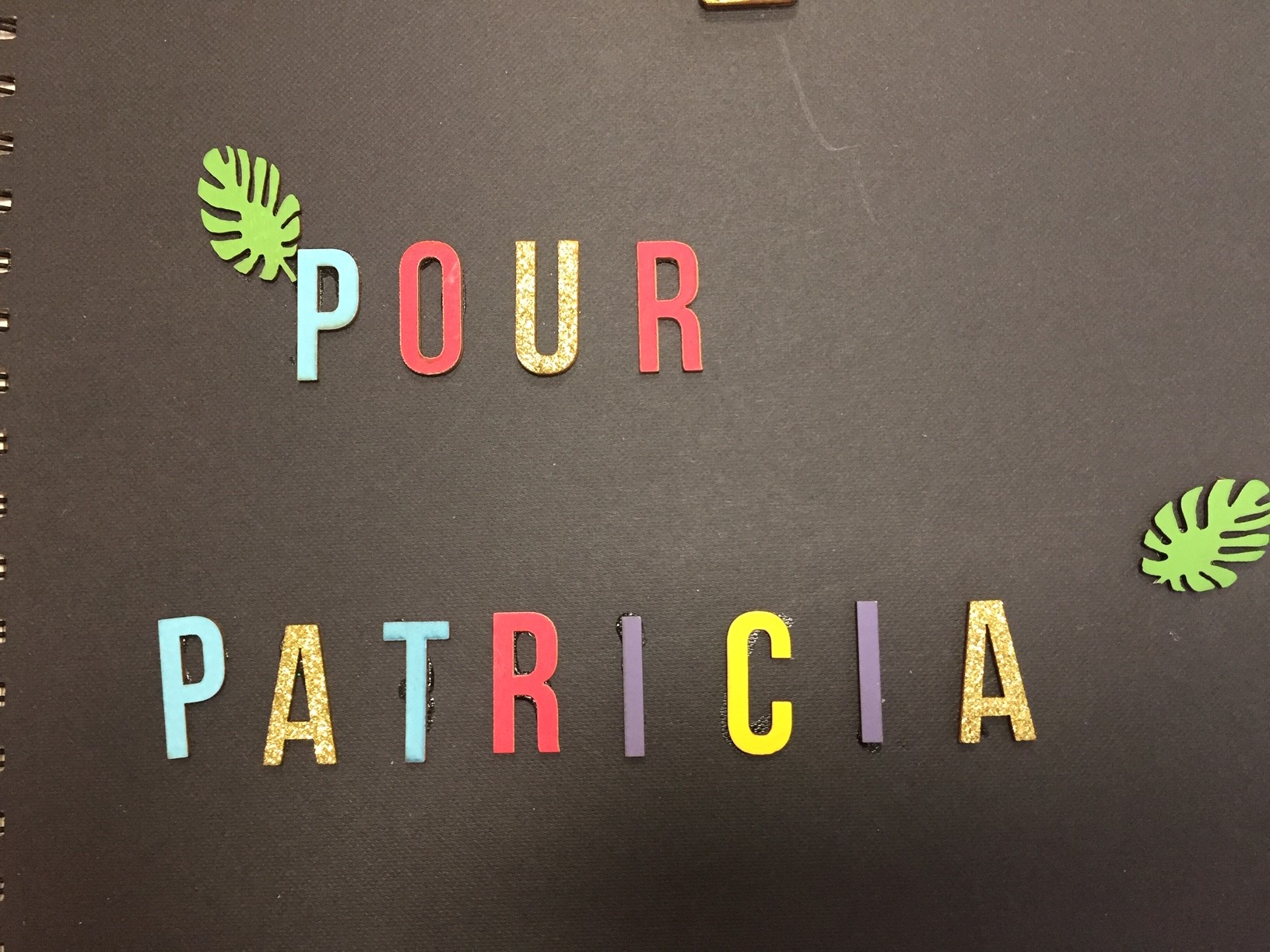 Patricia 5.jpg
