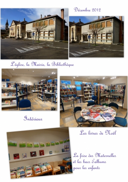 Bibliothèque Collage 1.jpg