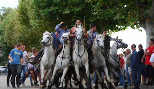 cheval.jpg