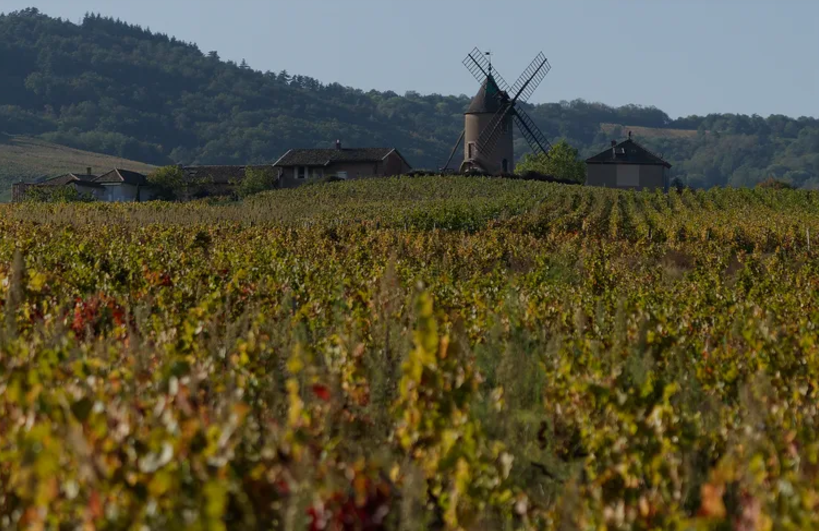 photo moulin randonnée.png