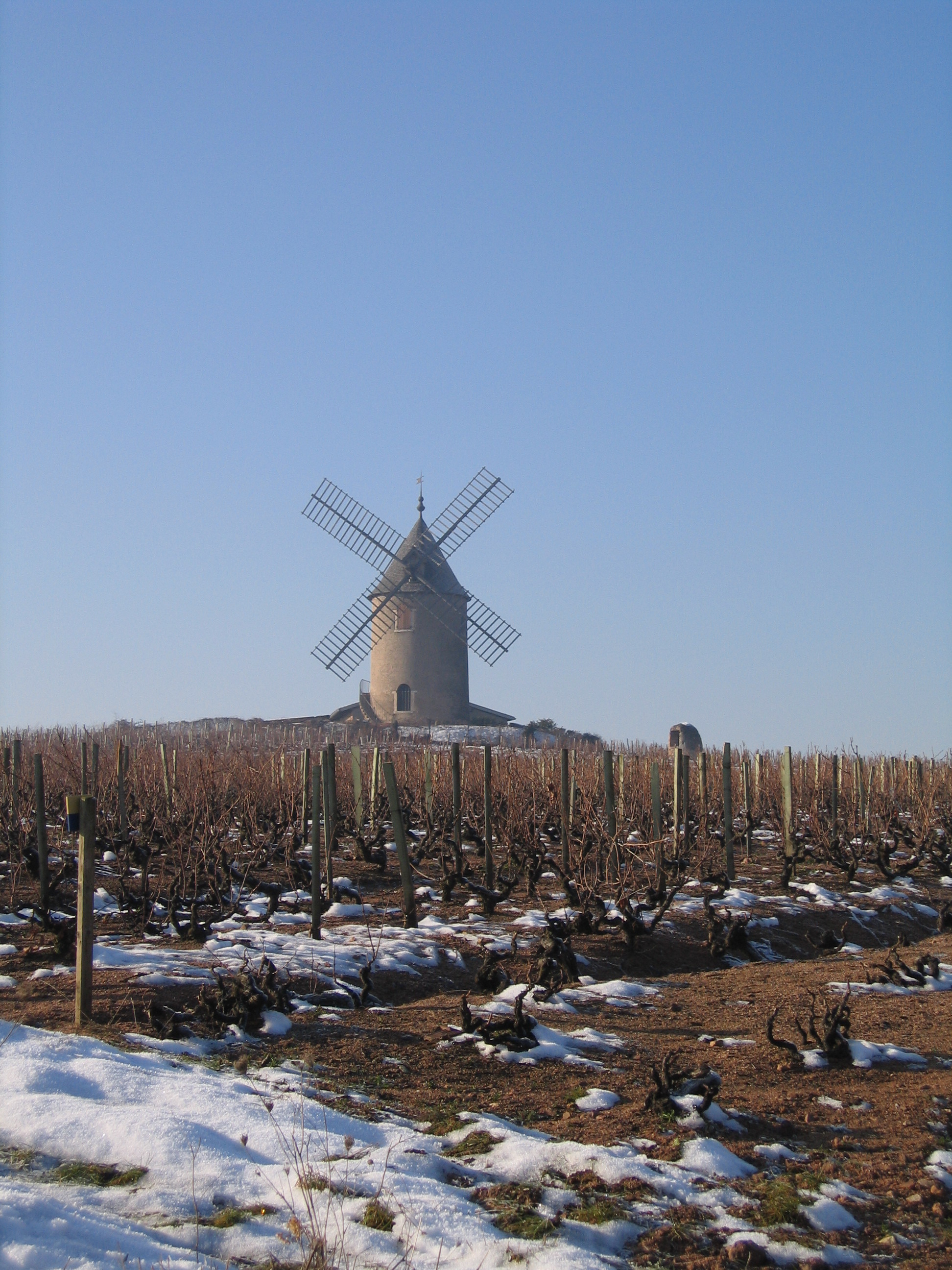corseDargaud 031.jpg