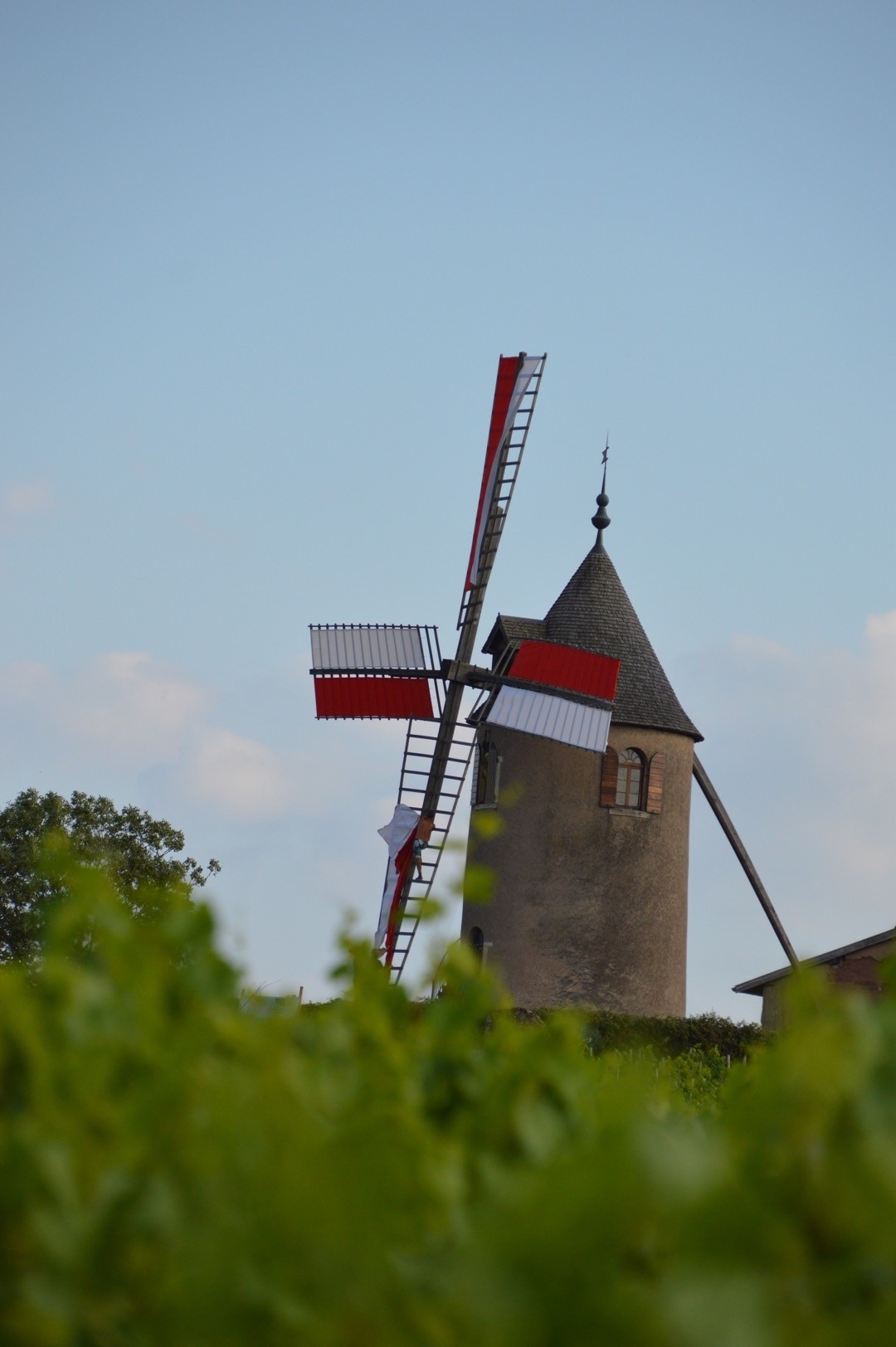 moulin carrousel.jpg