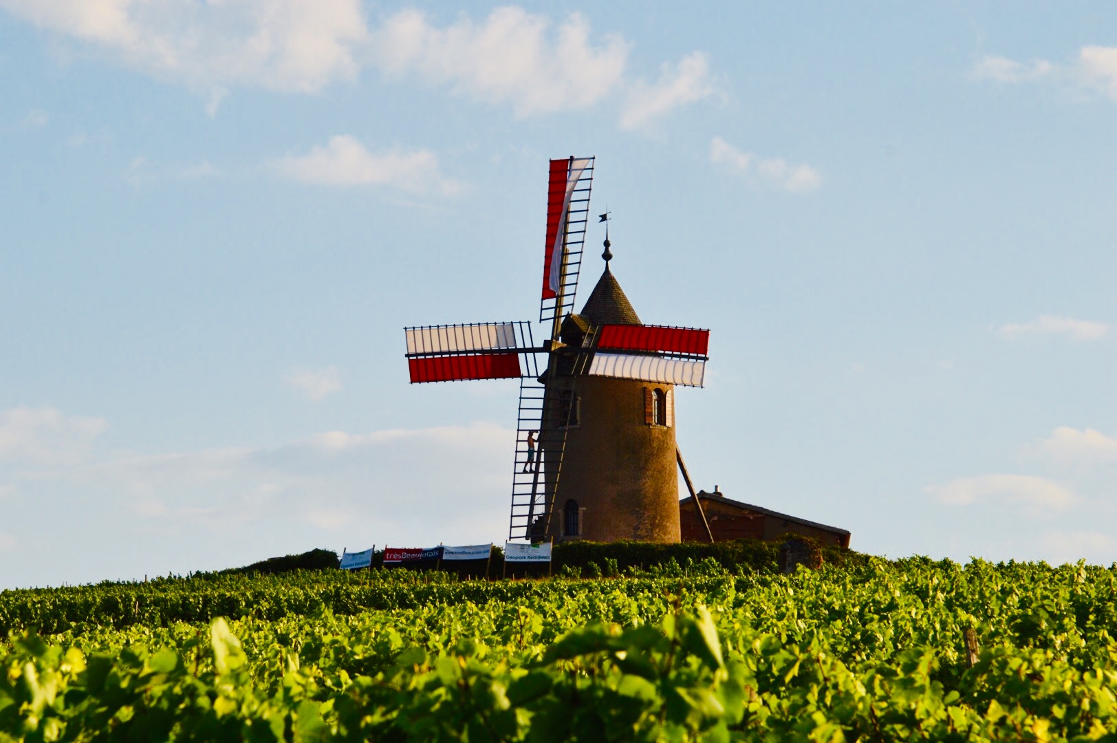 moulin2.jpg