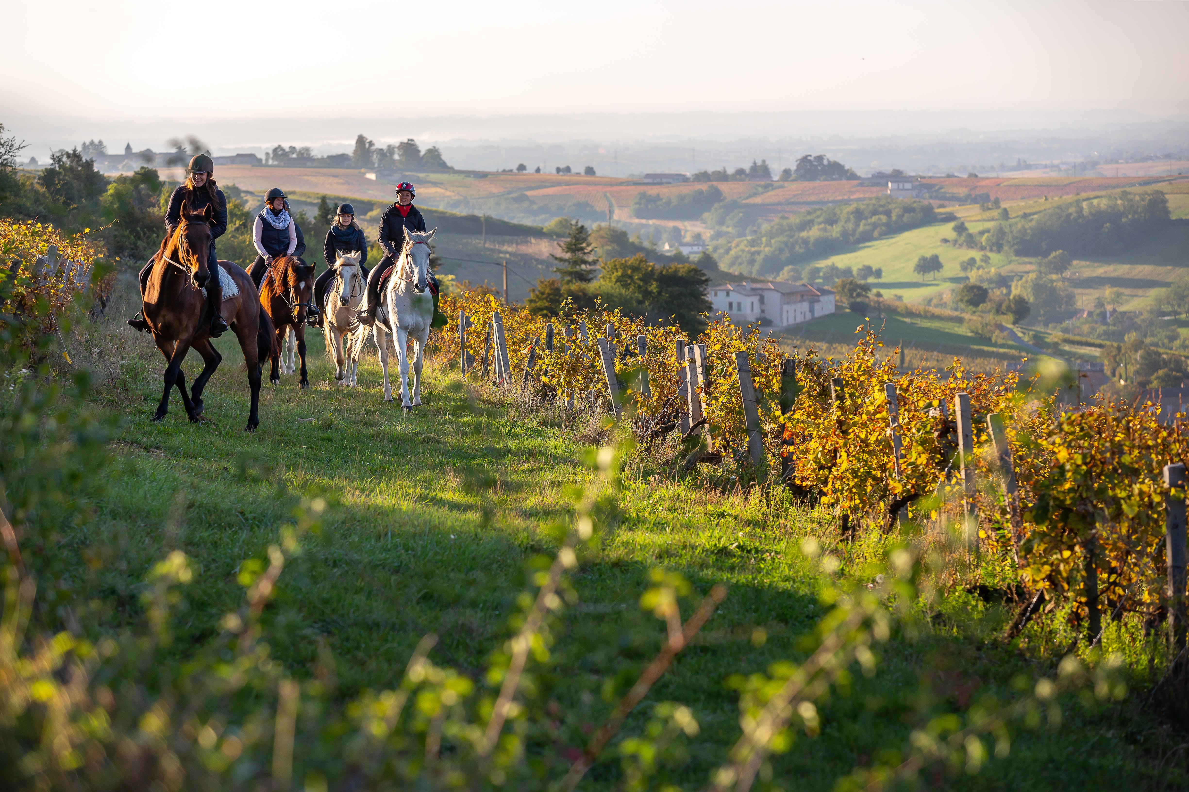 027_ETIENNE RAMOUSSE_PETR MSB_EQUITATION_HD_2021.jpg