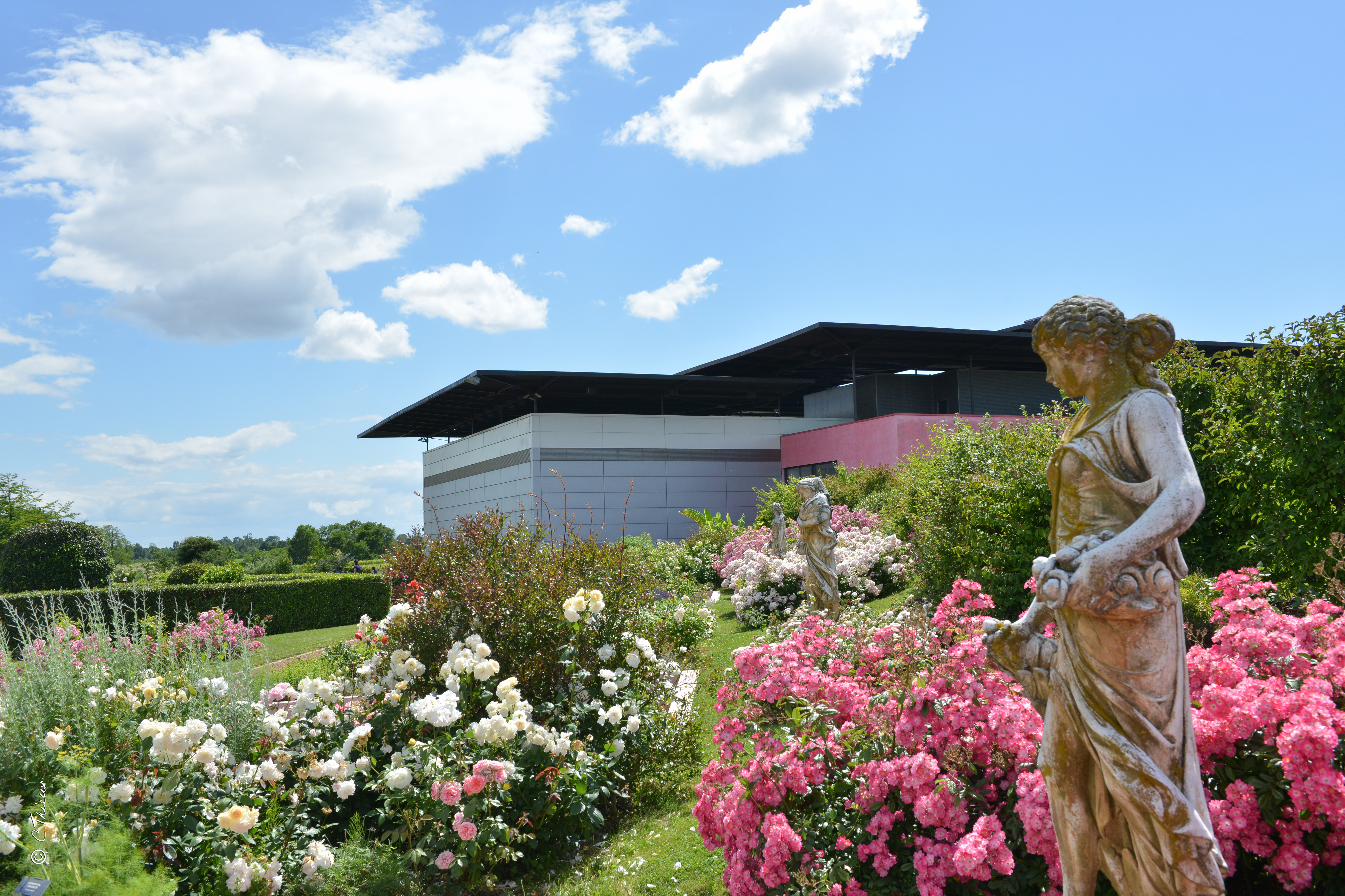 page d_accueil _1_.jpg