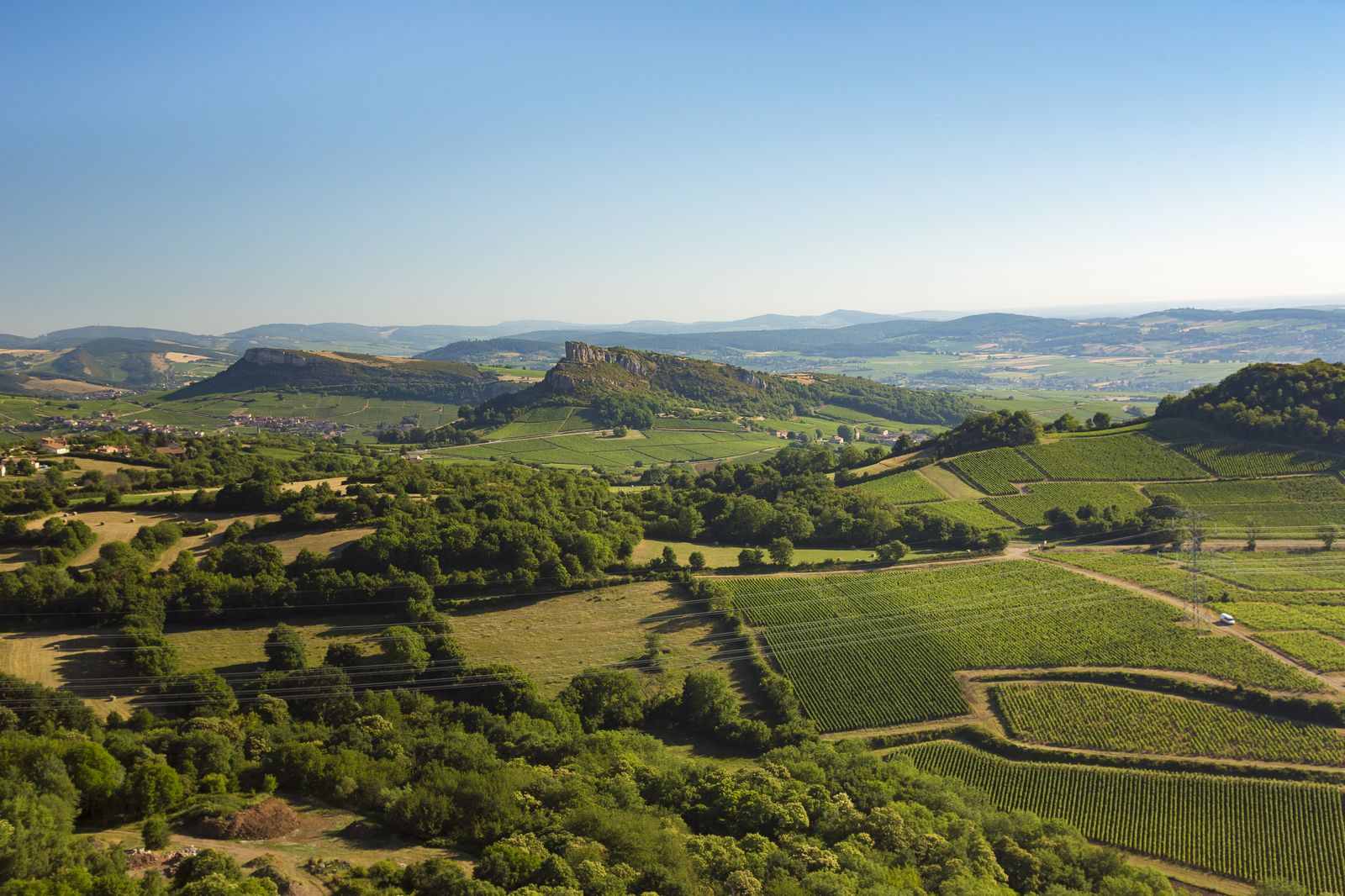 aurélien ibanez _13_.jpg