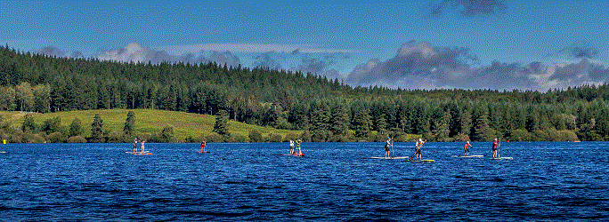 LAC PADDLE.gif