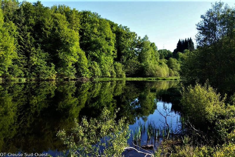 GRP des cascades landes et tourbiere _2_.jpg