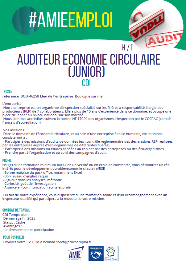 Audit offre d_emploi.png
