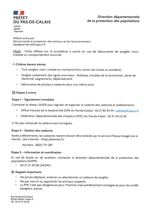 fiche reflexe peste porcine.png