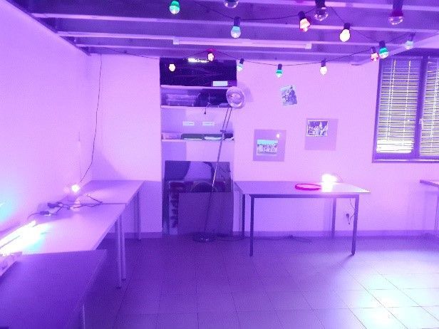 soirée fluo 2.jpeg