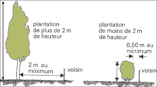2612_800_Shema-des-plantations.jpg