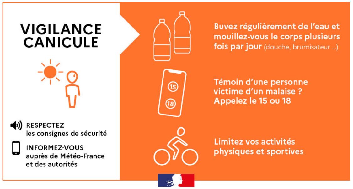 Canicule2.JPG