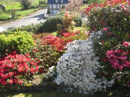 randonnée beauchene 5.jpg