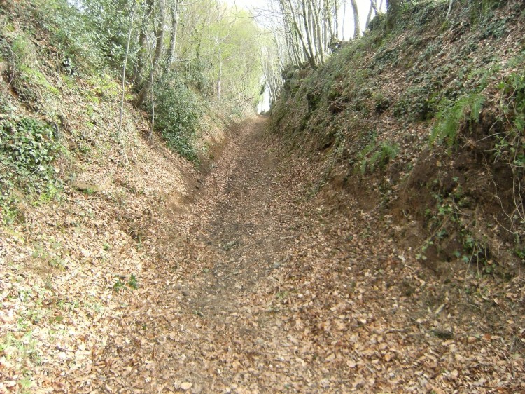 randonnée beauchene 6.jpg