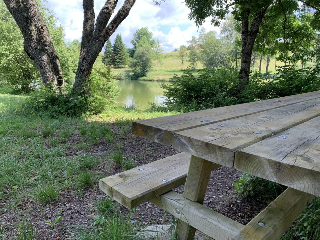 aire de pique nique _photo non contractuelle_.jpg