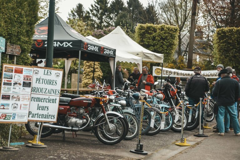 puces moto 2.jpg