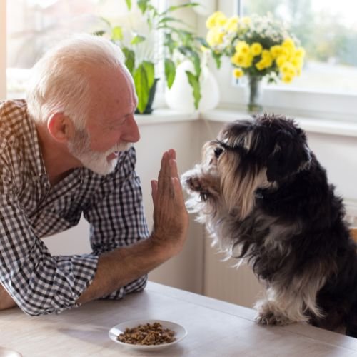 RPA 4 saisons animaux acceptés.jpg