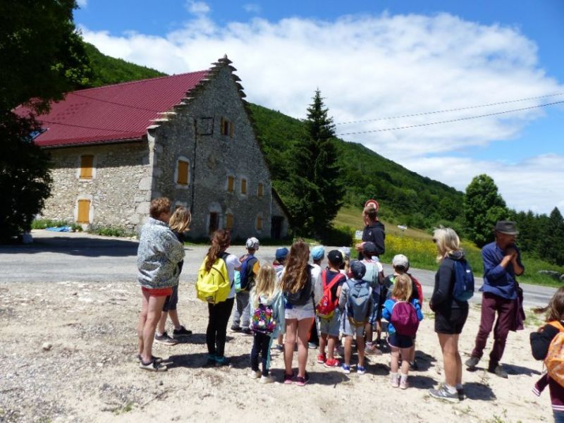 Mercredi - z7kde773z7iycos.jpg