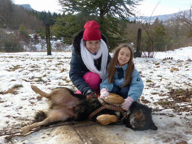 Jeudi - e1mo9d2qbdxpoky.jpg