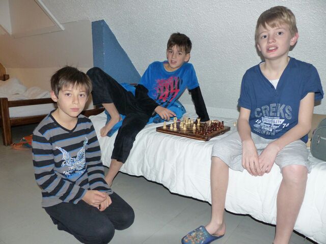 Mardi - w9dqdet1vtttb3.jpg