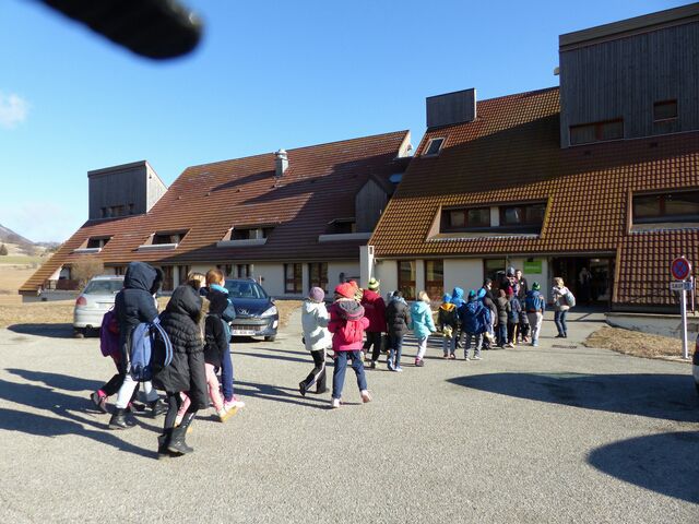 Lundi - z1xjuz8ztz6jq2.jpg