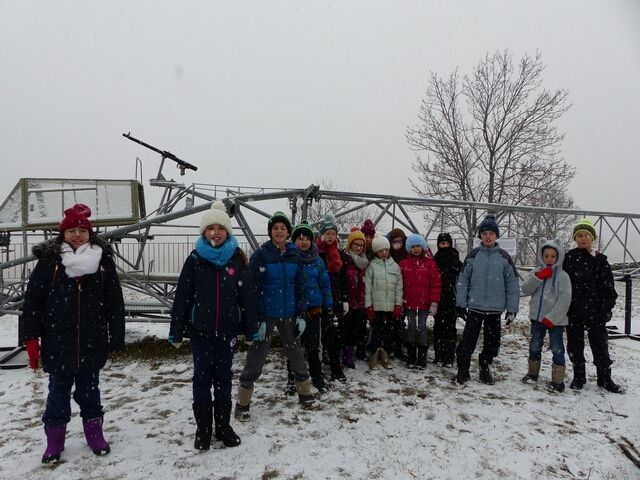 Mardi - cynds79i4jmeru.jpg