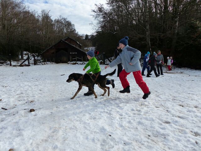 Jeudi - ld3fvglo8tt2pzi.jpg