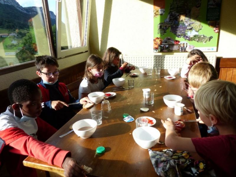 Mercredi - o9r8rqgzjmfwp6.jpg