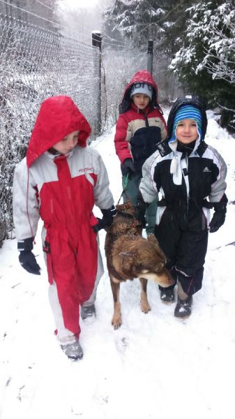 Mardi - nxfigue7dfi6i32.jpg