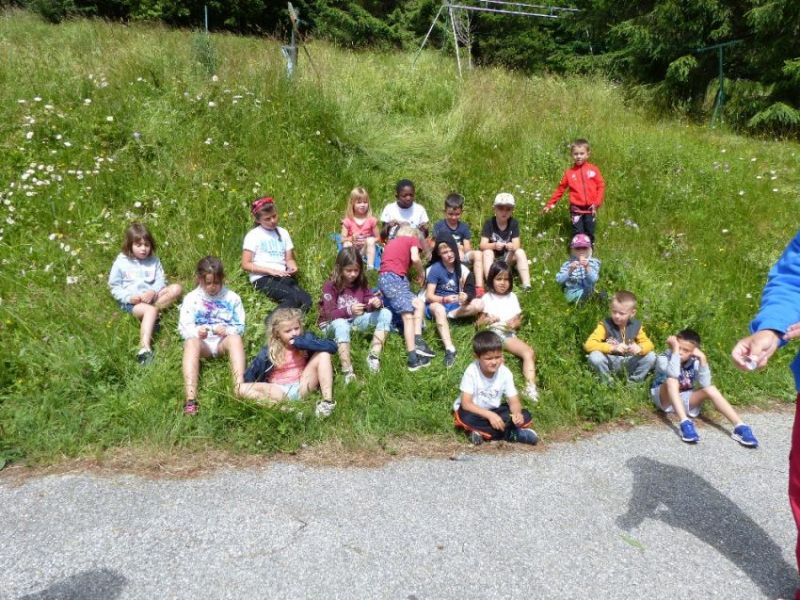 Mercredi - 6k7rd2uh4a65pm.jpg