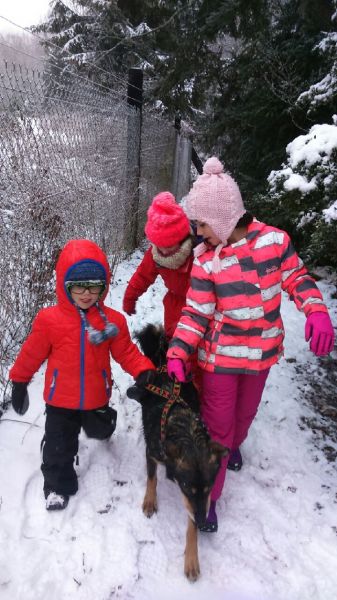 Mardi - ruphozsqn26kljm.jpg