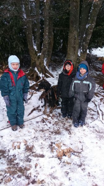 Mardi - elxsl8fzg98v4k1.jpg