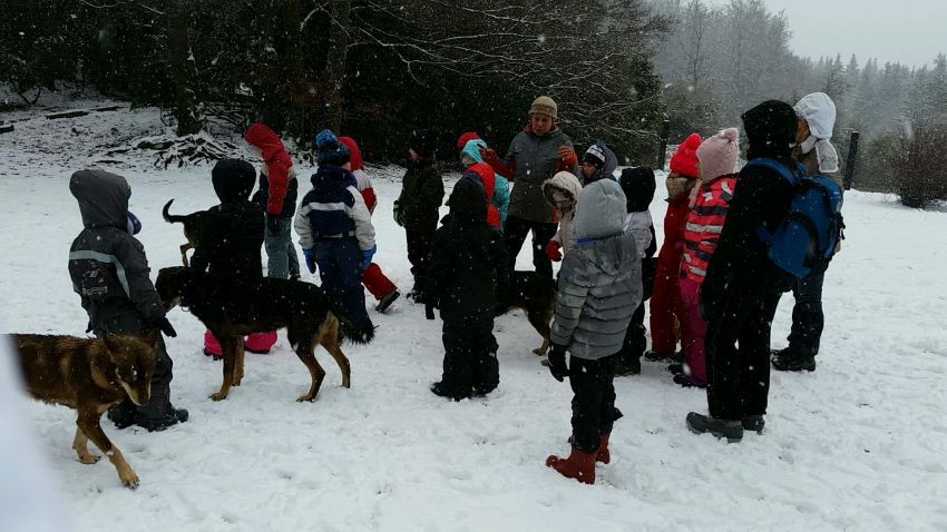 Mardi - s2d0bnd8uafwb6n.jpg