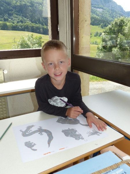 Mardi -wyms8f6oui4l8a.jpg