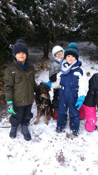 Mardi - duvkexsj1au3mx6.jpg