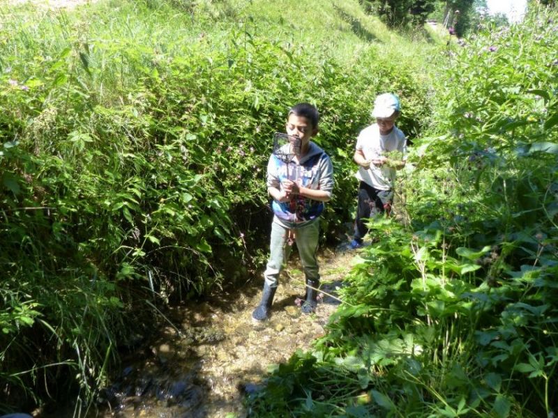 Jeudi - qiyuhi0b9zate6e.jpg