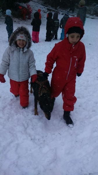 Mardi - yiquab1pahyjc22.jpg