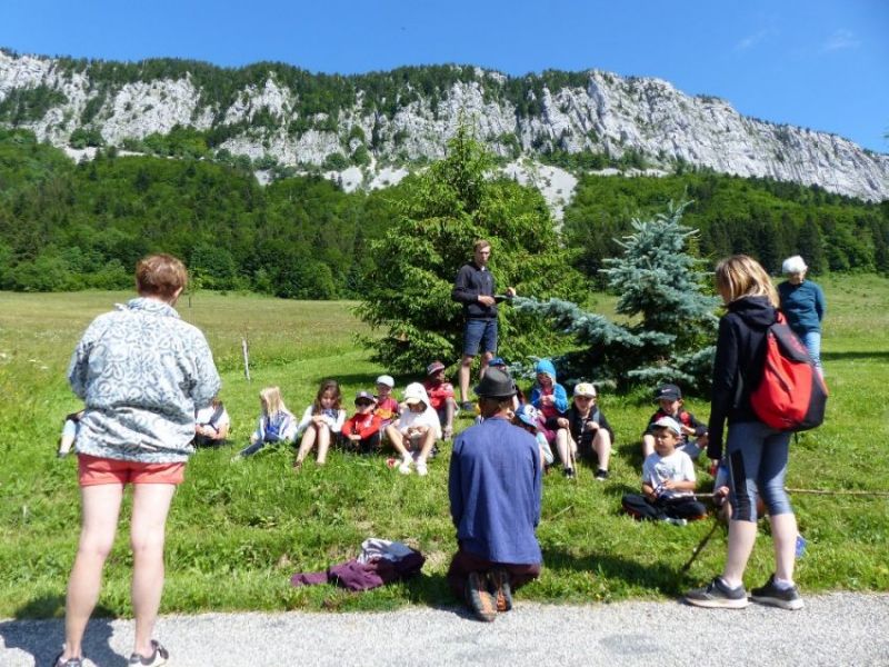 Mercredi - fnc0q78u5gc3s0.jpg