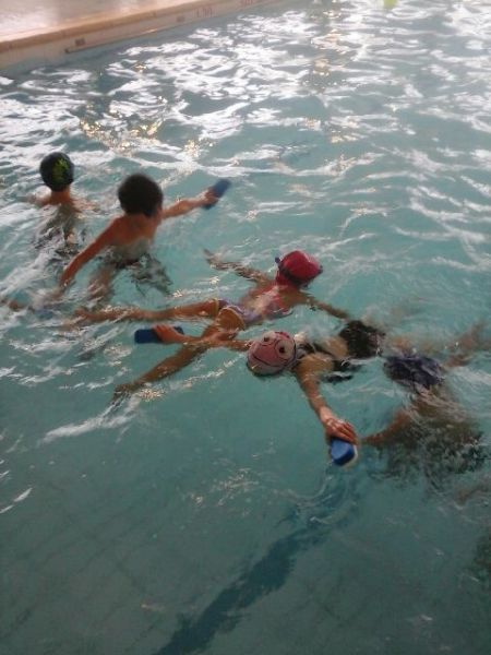 Mardi - gcfoia5yfbuenst.jpg